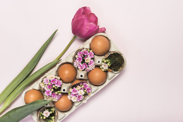 pink-tulip-with-eggs-rack_23-2148072806