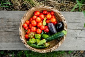 harvest-3611940_1920